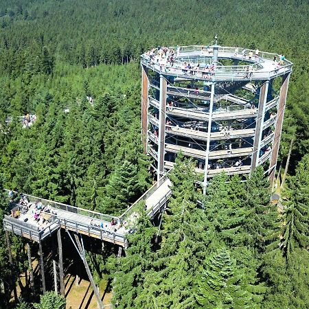 Апартаменти Lipno Riviera - Mysi V Bote Ліпно-над-Влтавою Екстер'єр фото