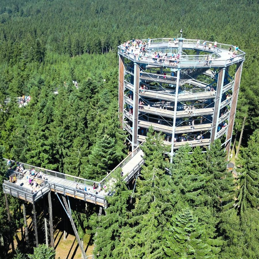 Апартаменти Lipno Riviera - Mysi V Bote Ліпно-над-Влтавою Екстер'єр фото