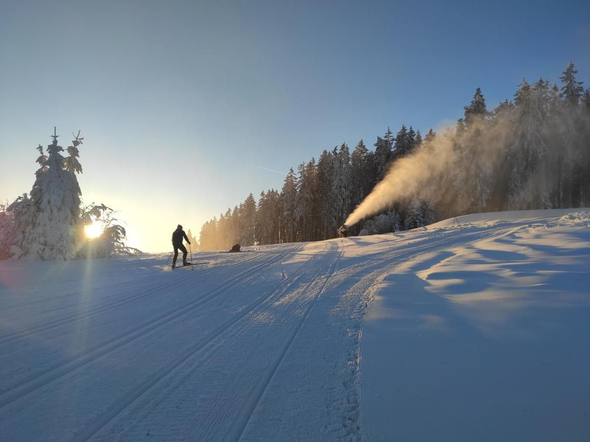 Апартаменти Lipno Riviera - Mysi V Bote Ліпно-над-Влтавою Екстер'єр фото